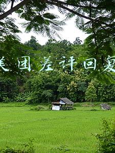 美团差评回复