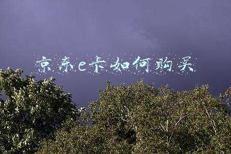 京东e卡如何购买