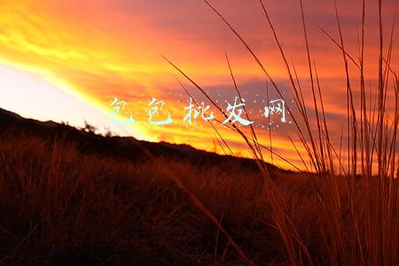 包包批发网