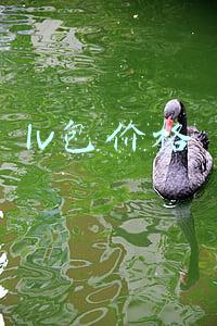 lv包包价格一览表(LV爆款包包 附官方最新价格合集)
