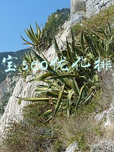 淘宝seo优化排名