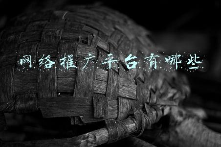 网络推广平台有哪些
