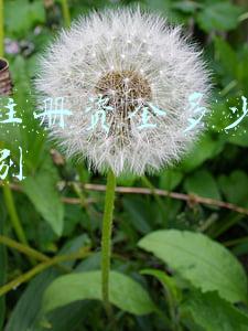 公司注册资金多少有什么区别