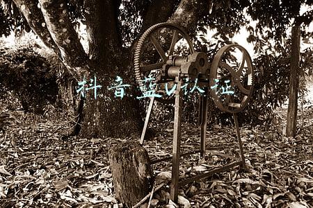 抖音蓝v认证