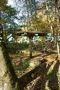 个人如何在亚马逊开店(个人如何做跨境电商（从无到有开一家亚马逊店铺）)