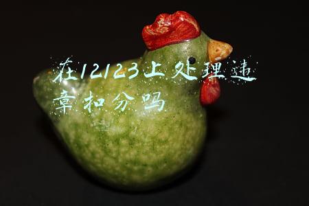 在12123上处理违章扣分吗