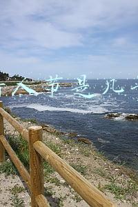情人节是几号
