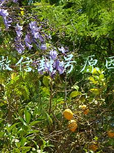 微信封号原因