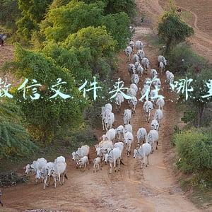 微信文件夹在哪里可以找到(微信上线新功能！实用)
