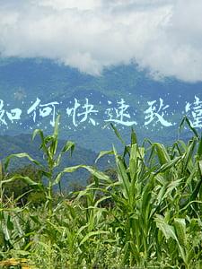 如何快速致富