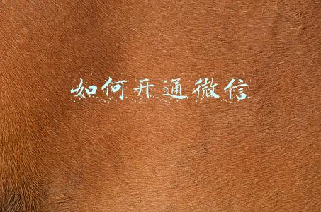 如何开通微信