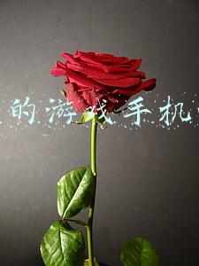赚钱的游戏手机游戏