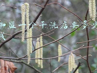 开个干洗加盟连锁店需要多少钱（加盟一家干洗店要多少钱）