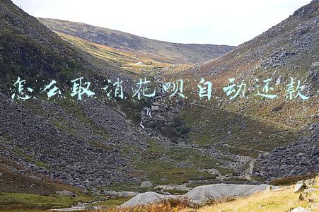 怎么取消花呗自动还款