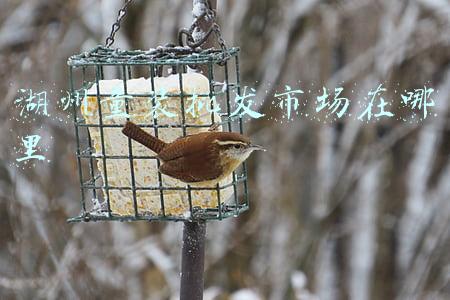 湖州童装批发市场在哪里