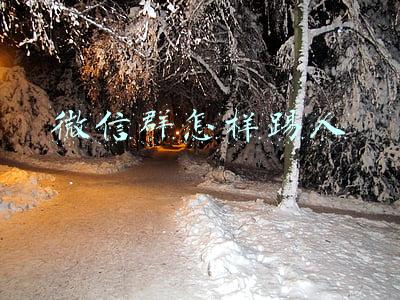 微信群怎样踢人