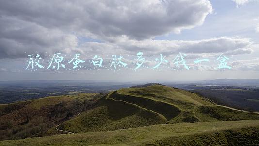 胶原蛋白肽多少钱一盒