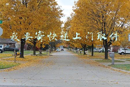 我要寄快递上门取件