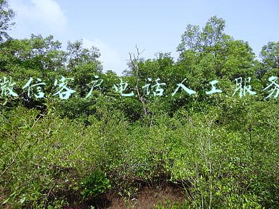 微信客户电话人工服务
