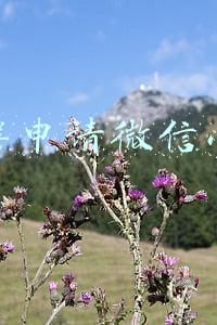 怎样申请微信小号