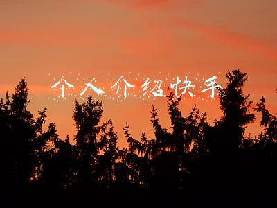 个人介绍快手