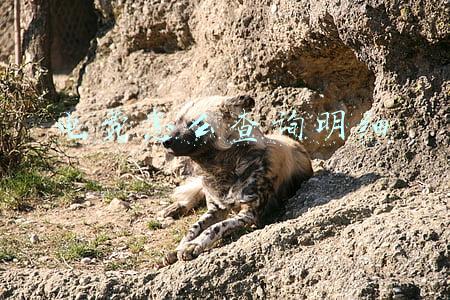 电费怎么查询明细