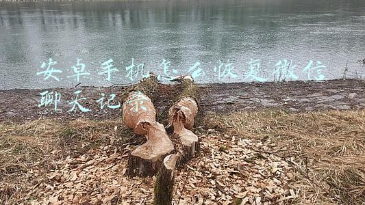 安卓手机怎么恢复微信聊天记录免费(三款微信数据恢复软件工具，信息瞬时恢复，不因失误丢失重要信息)