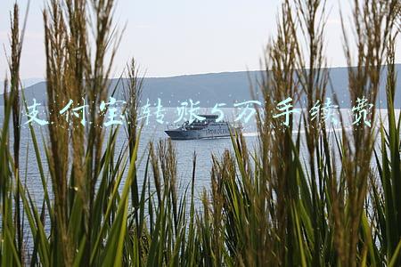 支付宝转账5万手续费
