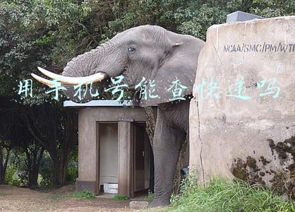 用手机号能查快递吗