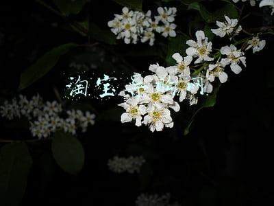 淘宝导购网