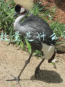 sku数量是什么意思
