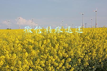微信转账退还