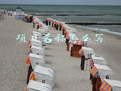 项目名称怎么写
