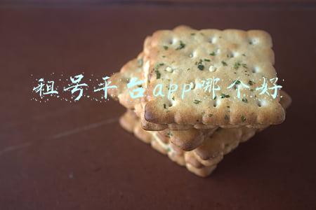 租号平台app哪个好