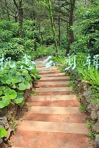 用手机怎么剪辑视频