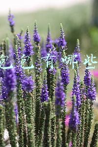 大牌包包有哪些品牌