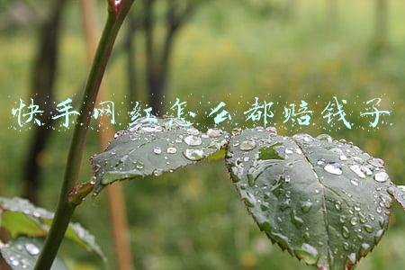 快手网红怎么都赔钱了
