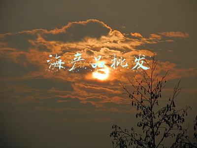 海产品批发