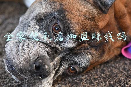 全家便利店加盟赚钱吗