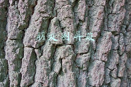 朋友圈屏蔽