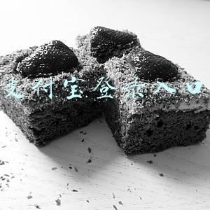 支付宝登录入口