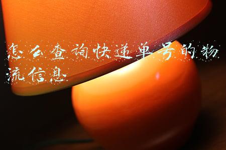 怎么查询快递单号的物流信息只有电话(如何查自己寄出去快递单号？有什么方法？)