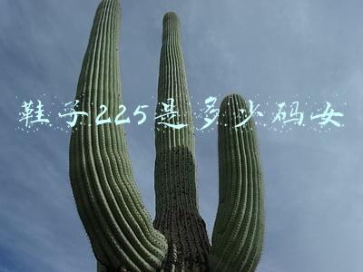 鞋子225是多少码女