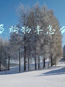 拼多多购物车怎么一起付款