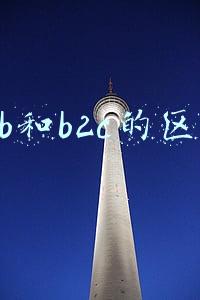 b2b b2c 区别(B2B与B2C的区别)