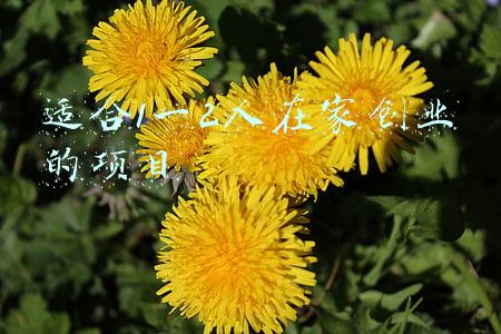 适合1一2人在家创业的项目