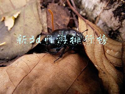 新3d网游排行榜