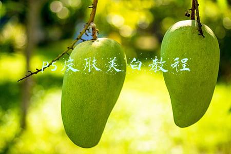 ps皮肤美白教程