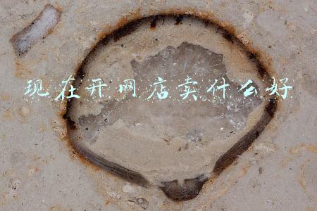 现在开网店卖什么好