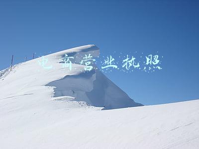 电商营业执照